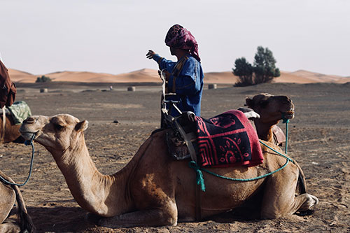 8 bonnes raisons de visiter Marrakech