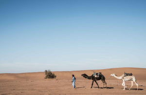 histoire marrakech