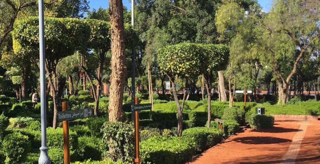 cyber-parc-marrakech-verdure