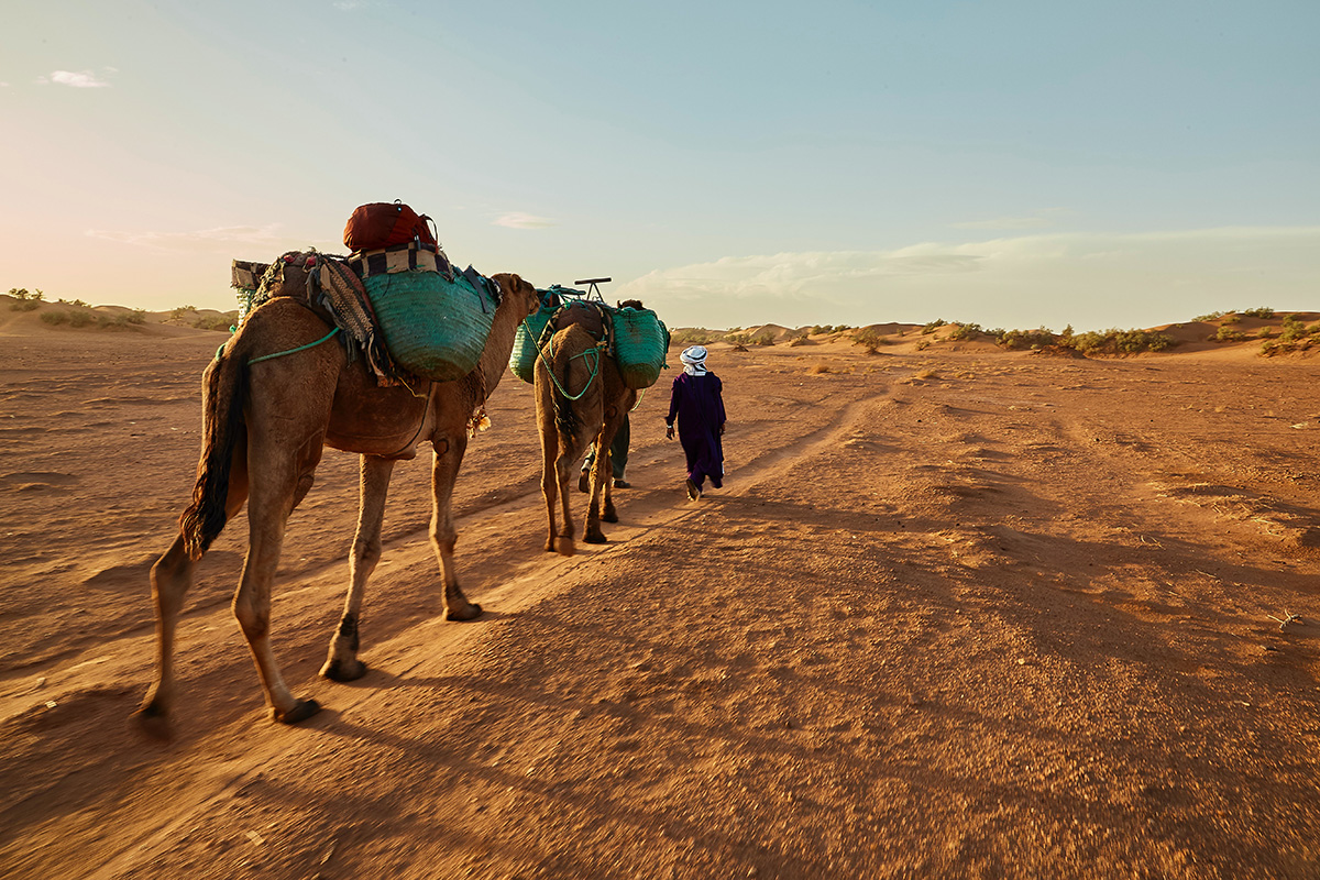 circuit desert chameaux maroc