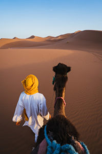 balade-en-chameau-desert