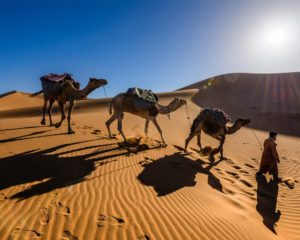 realiser-circuit-désert-maroc