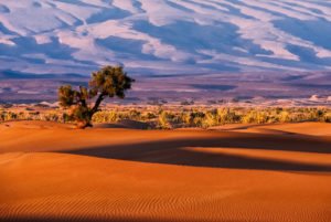 visiter-desert-marocain